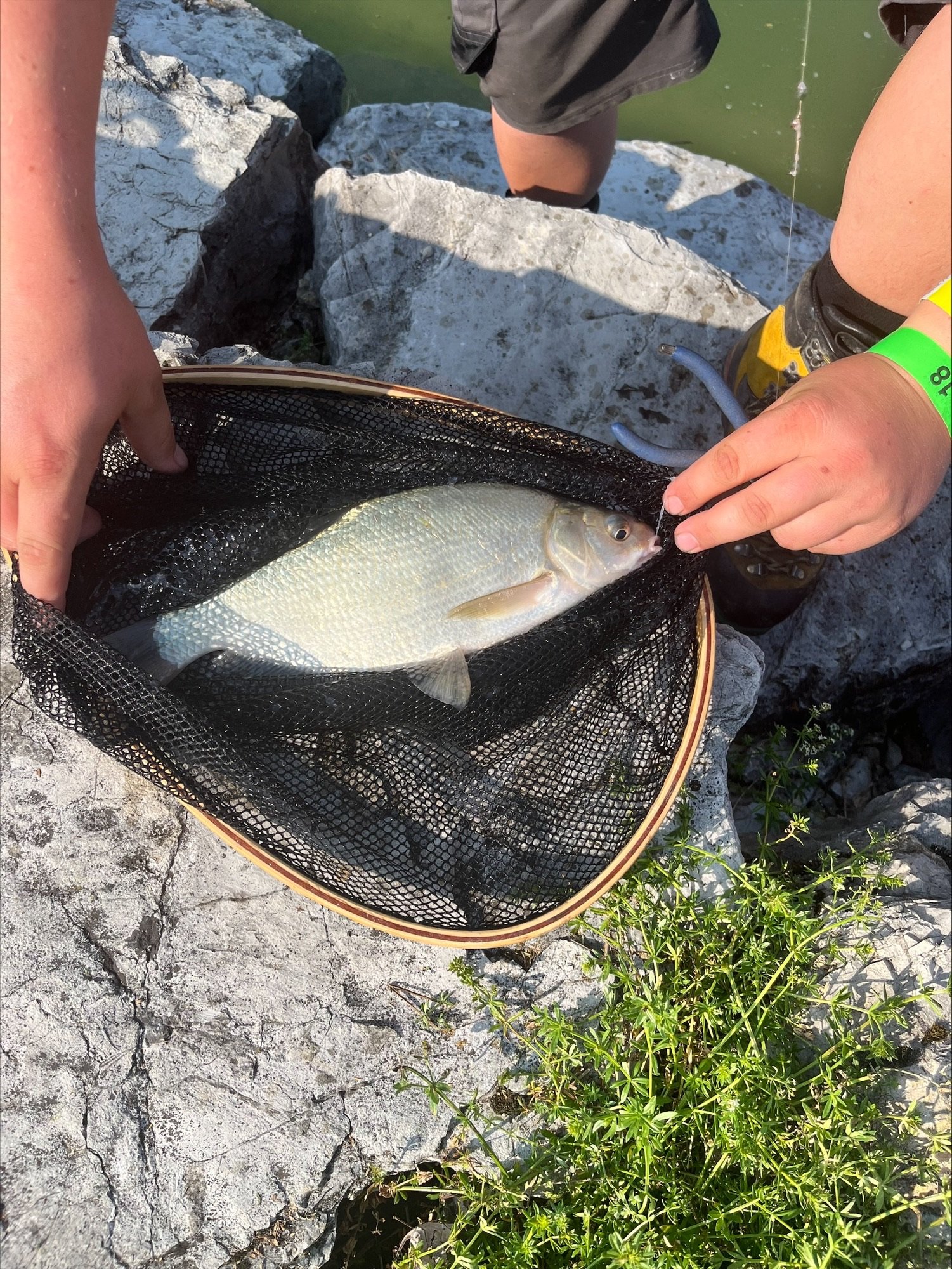 Fischen am Schiffenensee